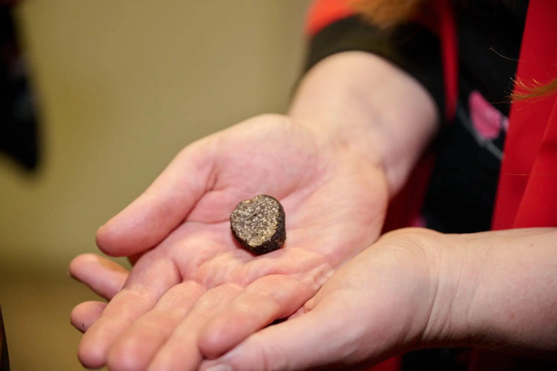 laulu ja tantsupidu 2025