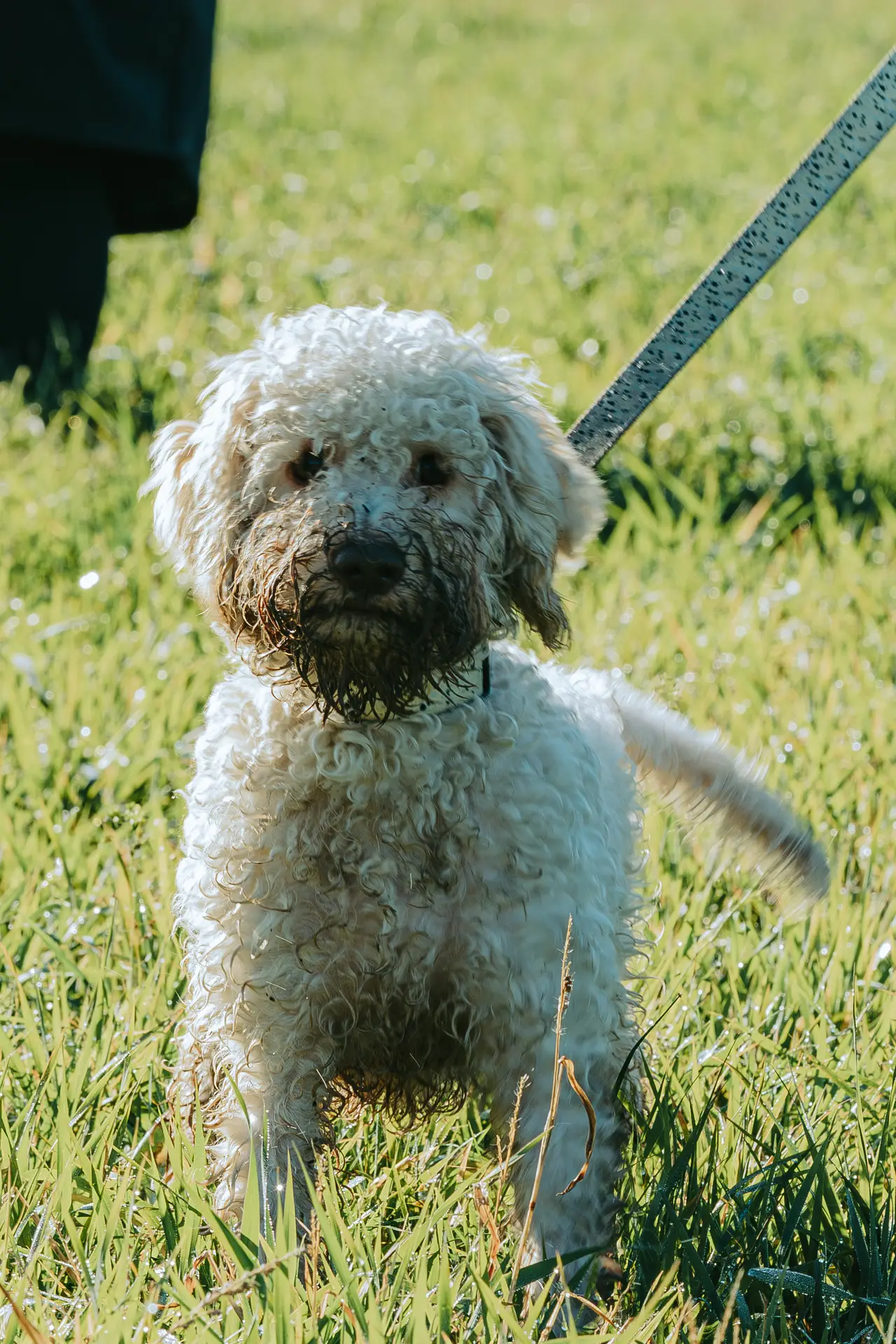 dsc06016 – koopia dsc06016 – koopia